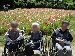 6 いろとりどりでキレイ.JPG