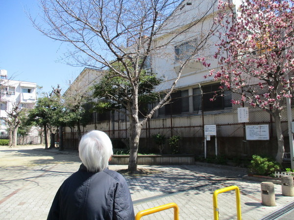 ①「桜はまだまだやね~。」.jpg