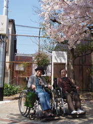 ⑦また来年も行きましょう.jpg